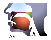 原书插图 figure13